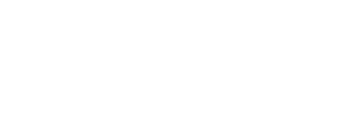 Videsa